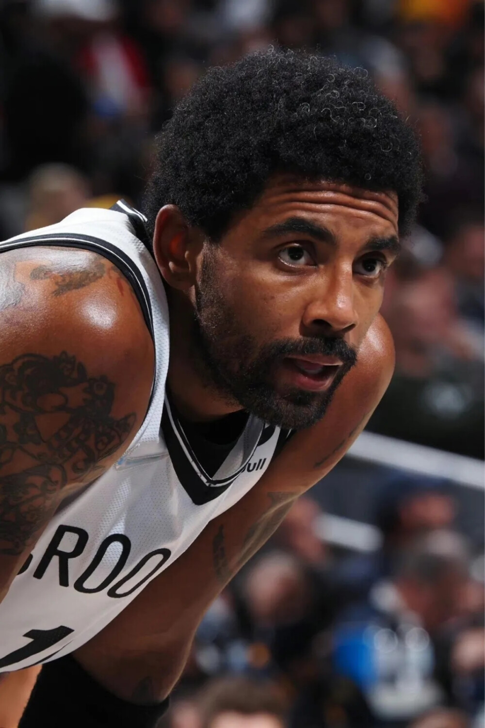 间的深厚情 间的深厚情